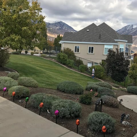 Modern home with manicured lawn and landscaping, mountains visible in background under cloudy sky