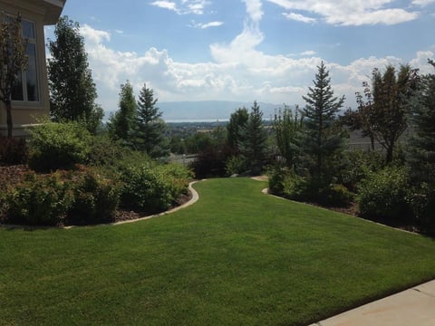 Manicured suburban landscape with rolling green lawn, winding pathway, evergreen trees, and distant hilltop view under blue sky