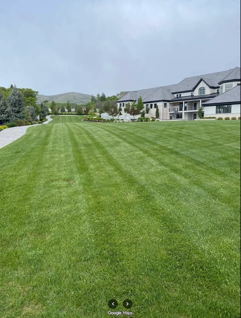 Large manicured lawn with striped mowing pattern in front of modern two-story homes with mountains in background