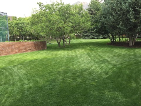 Manicured green lawn with mowed stripe pattern, bordered by brick wall and mature shade trees