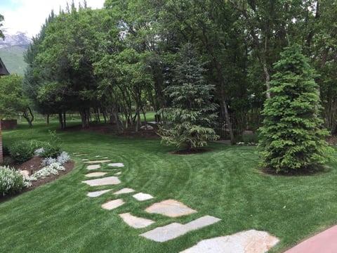 Manicured lawn with stepping stone pathway, surrounded by mature trees and landscaping shrubs in a verdant garden setting