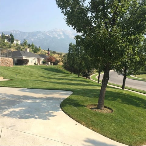 Landscaped residential driveway with manicured lawn, trees, and snow-capped mountains visible in the background
